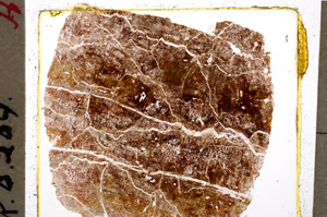 Plane Polarized, E19677