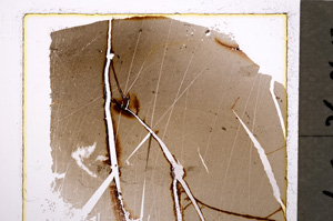 Plane Polarized, E19687