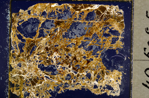 Cross Polarized, E19690
