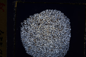 Cross Polarized, E19698