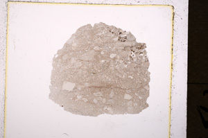 Plane Polarized, E19707