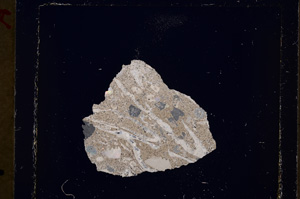 Cross Polarized, E19708