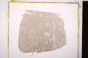 Plane Polarized, E19712
