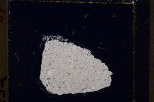 Cross Polarized, E19727