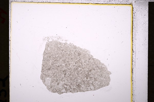 Plane Polarized, E19727