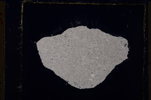 Cross Polarized, E19731