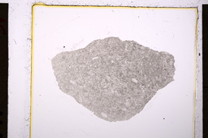 Plane Polarized, E19731