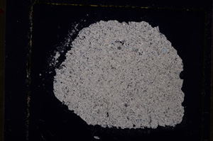 Cross Polarized, E19735