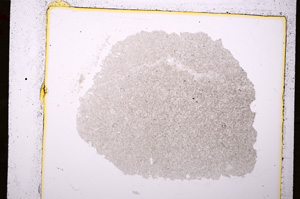 Plane Polarized, E19735