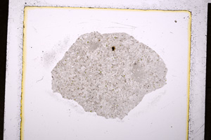 Plane Polarized, E19750