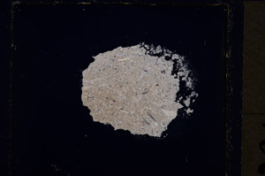 Cross Polarized, E19755