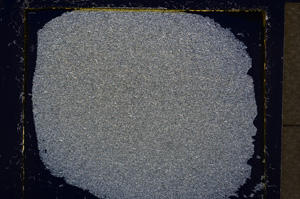 Cross Polarized, E19766