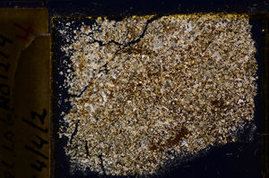 Cross Polarized, E19768