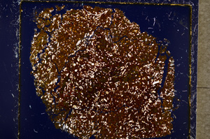 Cross Polarized, E19770