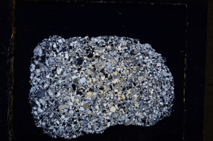 Cross Polarized, E19771