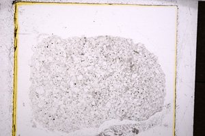 Plane Polarized, E19771