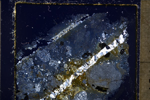 Cross Polarized, E19782
