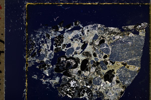 Cross Polarized, E19784
