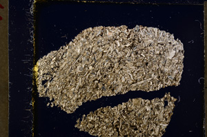 Cross Polarized, E19787/A