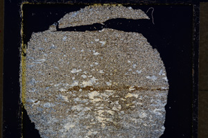 Cross Polarized, E19803/A