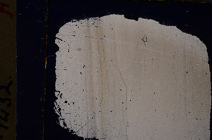 Cross Polarized, E19806