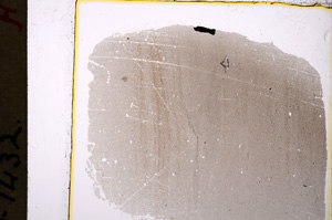 Plane Polarized, E19806