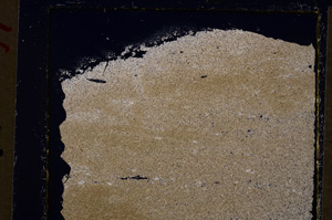 Cross Polarized, E19808