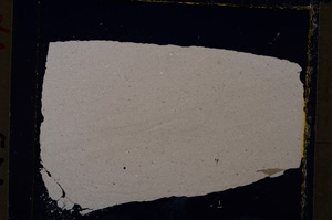 Cross Polarized, E19809