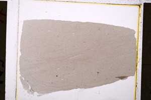 Plane Polarized, E19809