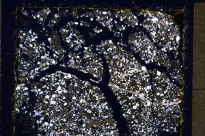 Cross Polarized, E19815