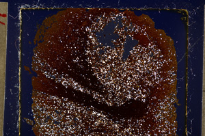 Cross Polarized, E19817