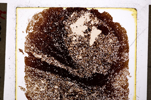 Plane Polarized, E19817