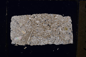 Cross Polarized, E19820