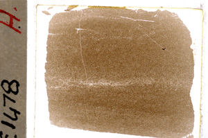 Plane Polarized, E19827