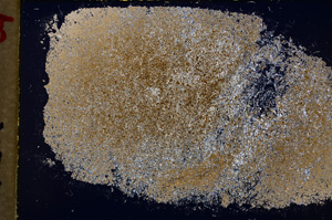 Cross Polarized, E19828