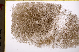 Plane Polarized, E19828