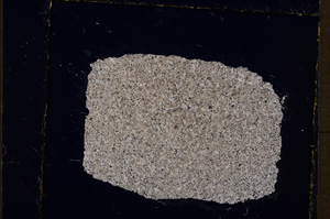 Cross Polarized, E19834