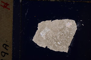 Cross Polarized, E19836