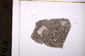 Plane Polarized, E19836