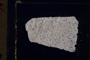 Cross Polarized, E19842