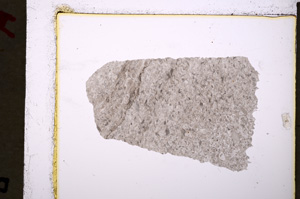 Plane Polarized, E19842