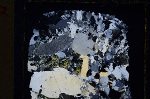 Cross Polarized, E19845