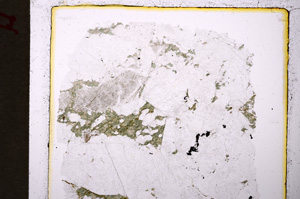 Plane Polarized, E19845