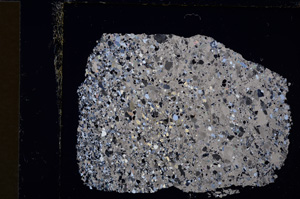 Cross Polarized, E19855