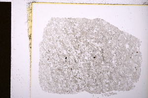 Plane Polarized, E19855