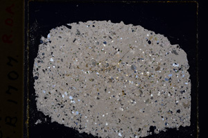 Cross Polarized, E19856