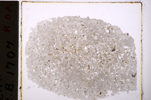 Plane Polarized, E19856