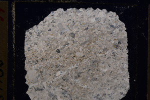 Cross Polarized, E19866