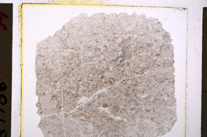 Plane Polarized, E19866