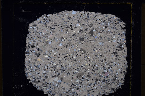 Cross Polarized, E19867